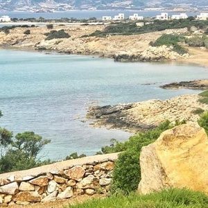 Meet your Posher, Carol